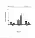 Fig. 07 - Compositions and methods for tissue engineering and cell based therapies