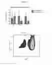 Fig. 08 - Compositions and methods for tissue engineering and cell based therapies