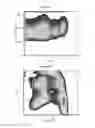 Fig. 09 - Compositions and methods for tissue engineering and cell based therapies