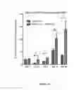 Fig. 26 - Compositions and methods for tissue engineering and cell based therapies