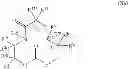 Fig. 294 - SONIC HEDGEHOG MODULATORS