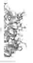 Fig. 03 - SSH-2 (slingshot-2) inhibitors and methods for making and using them