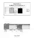 Fig. 09 - Method and composition for modulating canonical Wnt pathway using folate and inositol
