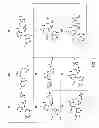 Fig. 04 - Inhibitors of influenza viruses replication