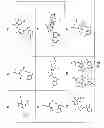 Fig. 10 - Inhibitors of influenza viruses replication