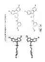 Fig. 12 - Pro-neurogenic compounds
