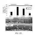 Fig. 15 - Pro-neurogenic compounds