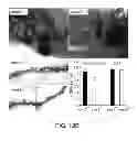 Fig. 18 - Pro-neurogenic compounds