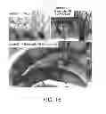 Fig. 22 - Pro-neurogenic compounds