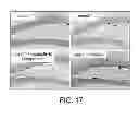Fig. 24 - Pro-neurogenic compounds