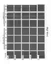 Fig. 29 - Pro-neurogenic compounds