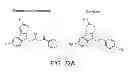 Fig. 30 - Pro-neurogenic compounds
