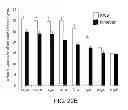 Fig. 31 - Pro-neurogenic compounds