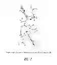 Fig. 04 - SOLID STATE FORMS OF HIV INHIBITOR