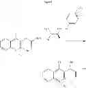 Fig. 16 - SOLID STATE FORMS OF HIV INHIBITOR