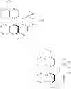 Fig. 19 - SOLID STATE FORMS OF HIV INHIBITOR