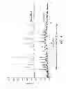 Fig. 05 - SOLID STATE FORMS OF HIV INHIBITOR