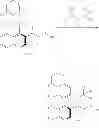 Fig. 19 - SOLID STATE FORMS OF HIV INHIBITOR