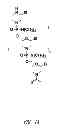 Fig. 02 - MULTIPLE EXON SKIPPING COMPOSITIONS FOR DMD