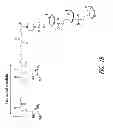 Fig. 03 - MULTIPLE EXON SKIPPING COMPOSITIONS FOR DMD