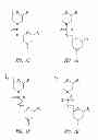 Fig. 05 - MULTIPLE EXON SKIPPING COMPOSITIONS FOR DMD