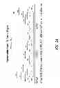 Fig. 06 - MULTIPLE EXON SKIPPING COMPOSITIONS FOR DMD