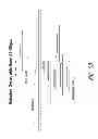 Fig. 09 - MULTIPLE EXON SKIPPING COMPOSITIONS FOR DMD