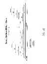 Fig. 10 - MULTIPLE EXON SKIPPING COMPOSITIONS FOR DMD