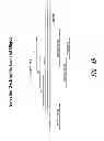 Fig. 13 - MULTIPLE EXON SKIPPING COMPOSITIONS FOR DMD