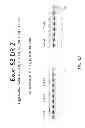 Fig. 15 - MULTIPLE EXON SKIPPING COMPOSITIONS FOR DMD