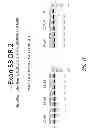 Fig. 17 - MULTIPLE EXON SKIPPING COMPOSITIONS FOR DMD