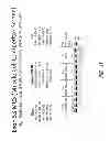 Fig. 20 - MULTIPLE EXON SKIPPING COMPOSITIONS FOR DMD