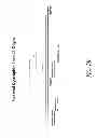 Fig. 22 - MULTIPLE EXON SKIPPING COMPOSITIONS FOR DMD