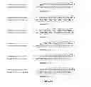 Fig. 04 - SiRNA sequence-independent modification formats for reducing off-target phenotypic effects in RNAi, and stabilized forms thereof