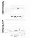 Fig. 16 - SiRNA sequence-independent modification formats for reducing off-target phenotypic effects in RNAi, and stabilized forms thereof