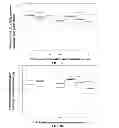 Fig. 22 - SiRNA sequence-independent modification formats for reducing off-target phenotypic effects in RNAi, and stabilized forms thereof