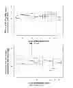 Fig. 31 - SiRNA sequence-independent modification formats for reducing off-target phenotypic effects in RNAi, and stabilized forms thereof