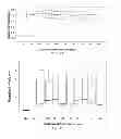 Fig. 32 - SiRNA sequence-independent modification formats for reducing off-target phenotypic effects in RNAi, and stabilized forms thereof