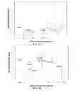 Fig. 37 - SiRNA sequence-independent modification formats for reducing off-target phenotypic effects in RNAi, and stabilized forms thereof