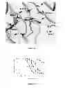 Fig. 06 - Compositions and methods of inhibiting N-acylethanolamine-hydrolyzing acid amidase
