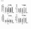 Fig. 02 - Composition and method for neuroprotection against excitotoxic injury