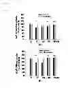 Fig. 03 - Composition and method for neuroprotection against excitotoxic injury