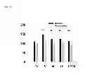 Fig. 07 - Composition and method for neuroprotection against excitotoxic injury