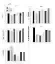 Fig. 12 - Composition and method for neuroprotection against excitotoxic injury