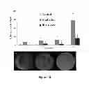 Fig. 04 - Method for regulating retinal endothelial cell viability