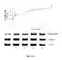 Fig. 07 - Method for regulating retinal endothelial cell viability