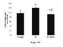 Fig. 14 - Method for regulating retinal endothelial cell viability