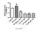 Fig. 30 - Method for regulating retinal endothelial cell viability