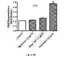 Fig. 31 - Method for regulating retinal endothelial cell viability