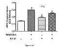 Fig. 32 - Method for regulating retinal endothelial cell viability